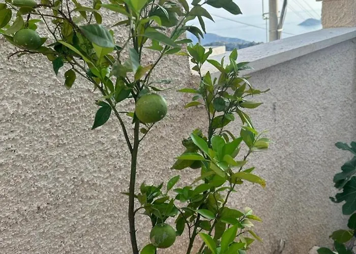 Kalkan Beauty Honeymoon 빌라 카스