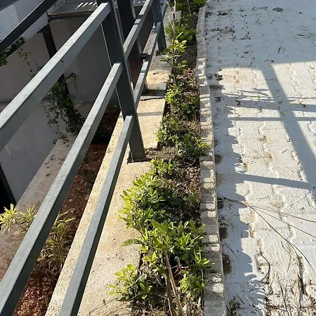 Kalkan Beauty Honeymoon Villa *