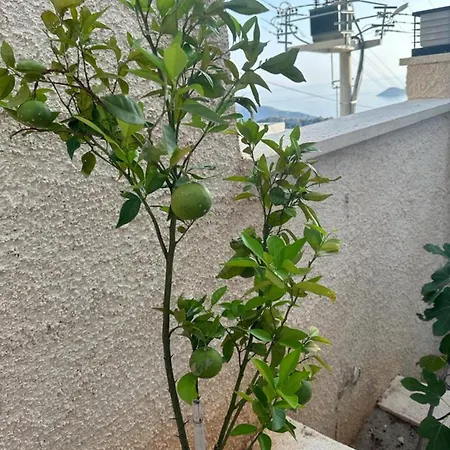 Kalkan Beauty Honeymoon Villa Kas